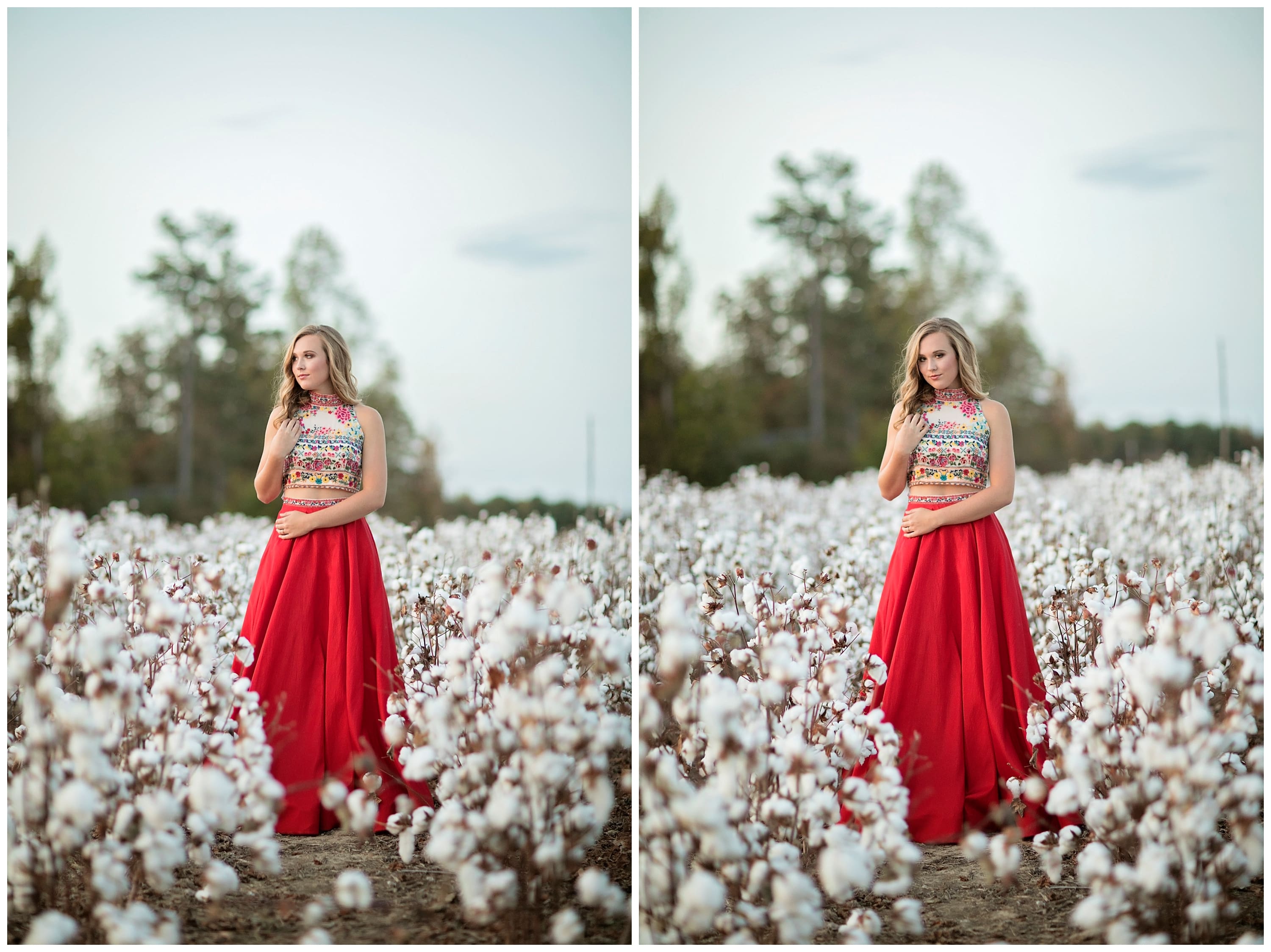 cotton field portraits