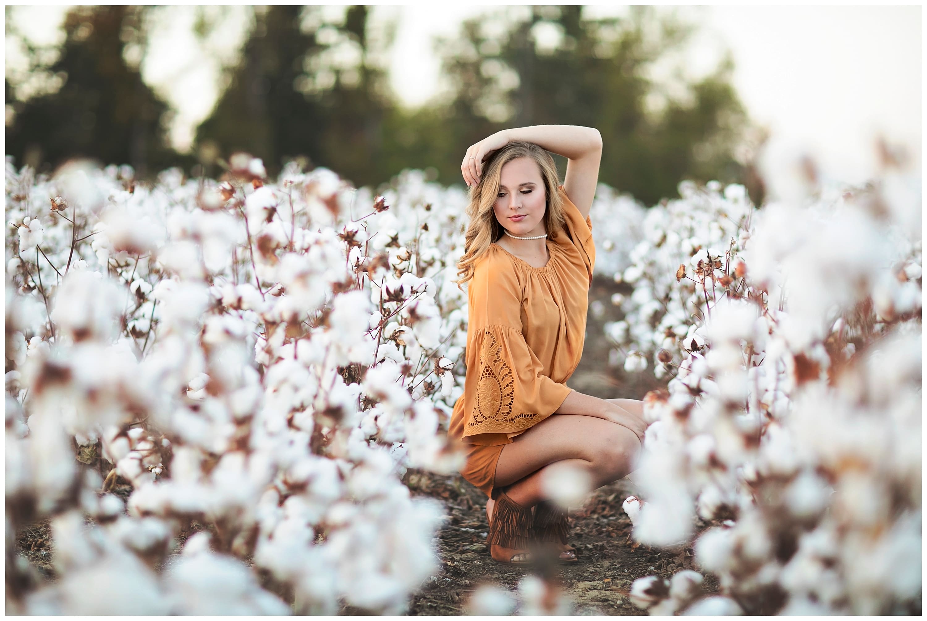 cotton field senior session